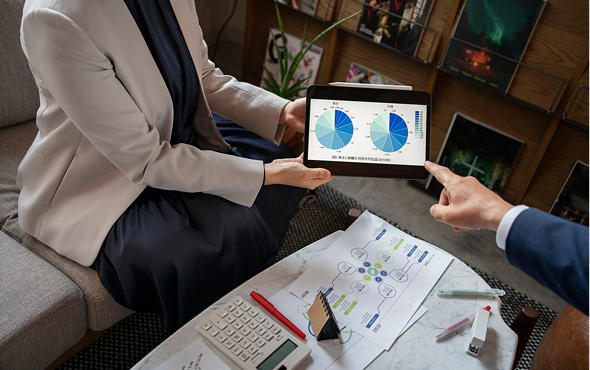 Portfolio Advisory & Management Dubai — Western VAS